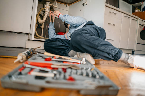 Best Commercial Plumbing Services  in Wheelersburg, OH
